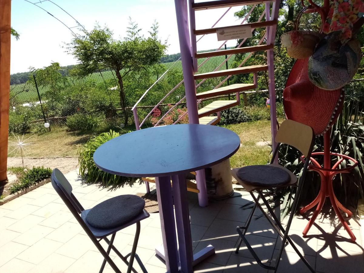 Penzion Slunce Nad Vinnym Sklepem Moravská Nová Ves 외부 사진