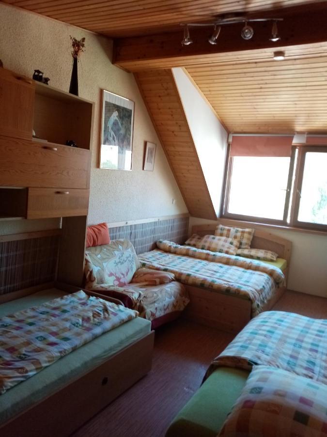 Penzion Slunce Nad Vinnym Sklepem Moravská Nová Ves 외부 사진