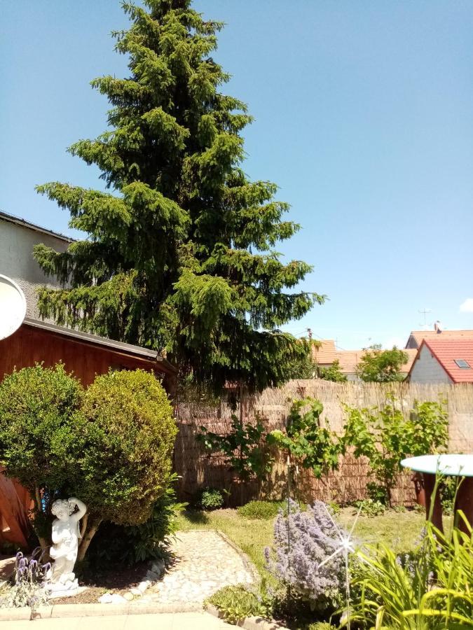 Penzion Slunce Nad Vinnym Sklepem Moravská Nová Ves 외부 사진