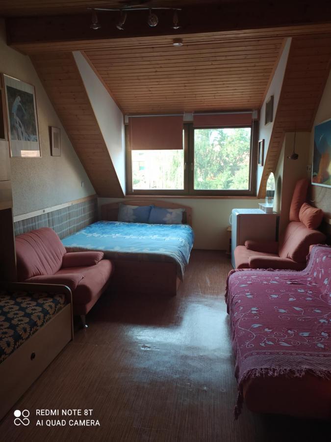 Penzion Slunce Nad Vinnym Sklepem Moravská Nová Ves 외부 사진